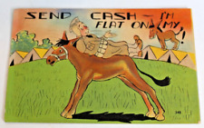 Vintage Humorous Postcard - Send Cash Flat On Ass - 1943 Posted Military Donkey picture