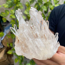 610g Natural Clear White Quartz Crystal Cluster Rough Healing Specimen picture
