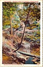 The Shades Maiden Hair Falls Trail Indiana White Border Teich 1931 Postcard IN picture