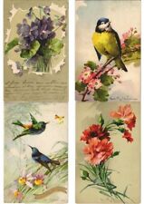 100x KLEIN C. ARTIST SIGNED, FLOWERS, FRUIT PRE-1940 Vintage Postcards  (L3171) picture