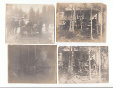 4 Antique Photos Men Buddies Hunting Trip Cabin Guns Deer Heads Dog late 1800s picture