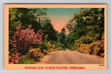 North Platte NE-Nebraska, General Greetings, Antique Vintage Souvenir Postcard picture