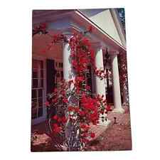 Postcard The Little White House Warm Springs Georgia Vintage B406 picture