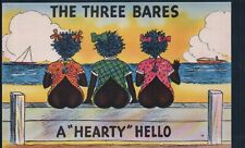 The Three Bares A Hearty Hello Beach 1940s Linen Vintage Unposted Postcard picture