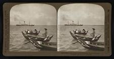 Malay boats in the harbor at Penang, Straits Settlement Old Photo picture