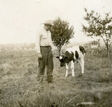 Q730 Original Vintage PhotoMAN WITH HIS HOLSTEIN CALF FARM, barbed wire c 1940's picture