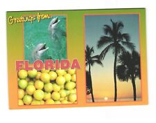 Greetings from Florida The Perfect Vacation Spot Postcard Unposted 4x6 picture
