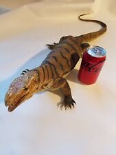 Vintage Monitor Lizard Reptile Realistic Brown Stripe AAA 26 Inch picture