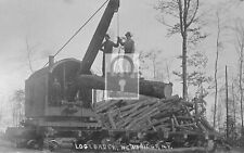 Railroad Train Logging Crane Newbridge New York NY Reprint Postcard picture