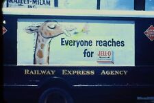 1954 Jell-O Giraffe Billboard 35mm Slide~Kodachrome Red Border Railway Express picture