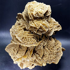 1140g RAW Natural Beautiful DESERT ROSE Stone Healing Mineral Specimen  F156 picture
