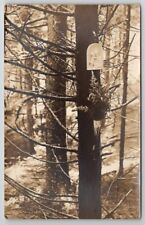 RPPC Shrine In Forest Mary Joseph Plaque On Tree Floral Memorial Postcard B31 picture