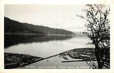 1940s RPPC Floating Timber for Mill, Lake Chatcolet ID Benewah Co. Leo's Studio picture