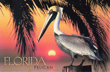 PELICAN ON POST WITH SUNSET ARCOSS WATER POSTCARD MIAMI KEY WEST ORLANDO FLORIDA picture