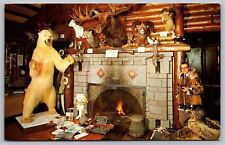 Anchorage Alaska Jonas Bros Museum Polar Bear Chrome Cancel WOB Postcard picture