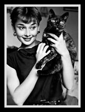 Audrey Hepburn & Cat - Vintage Hollywood Actor - BIG MAGNET 3.5 x 5 inches picture