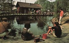 Vintage Postcard Trout Fishing Cast your Line at the Sears Trout Pond Rainbow picture
