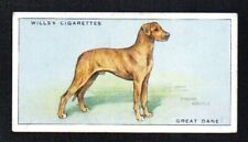  GREAT DANE 1937 WILLS CIGARETTES DOGS #16 EXCELLENT NO CREASES picture