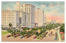 Miami Florida Vintage Postcard c1948 Royal Palms along Biscayne Boulevard Linen picture