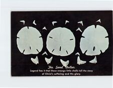 Postcard The Sand Dollar picture