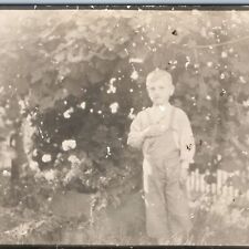 c1910s Handsome Young Man in Overalls RPPC Posing w/ Flower Hand Over Heart A213 picture