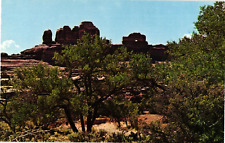 Postcard Wooden Shoe Canyonlands National Park, Utah picture