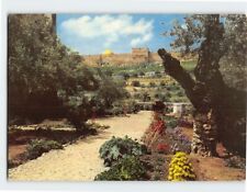 Postcard View from the Garden of Gethsemane to Golden Gate, Jerusalem, Israel picture