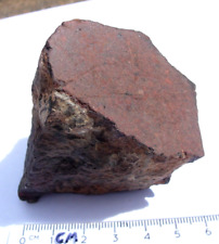 238 grams NWA xxxx unclassified cut stoney Meteorite with a COA picture