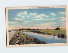 Postcard The Florida Everglades, Scene Along The Tamiami Trail, Florida picture