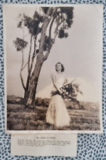 Hollywood Beauty DOROTHY JORDAN STUNNING PORTRAIT  1930s ORIG Photo OVERSIZE picture