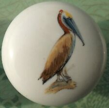Cabinet Knobs Domestic bird Brown Pelican picture