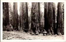 RPPC Postcard Congress Group & Ranger Sequoia National Park CA California  K-216 picture