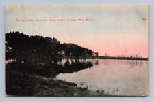 Spring Lake ARTESIA New Mexico Antique Hand Colored Eddy County Postcard ~1910 picture