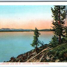 c1910s Yellowstone Park, WY Lake Mt. Sheridan Tree J.E. Haynes Photo #10116 A226 picture