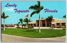 Florida FL - Village Hall Among the Palms in Tequesta - Vintage Postcard picture