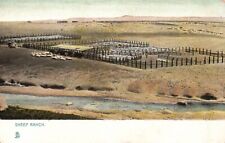 Postcard NM Sheep Ranch New Mexico & Southwest Tuck Undivided Vintage PC H3629 picture