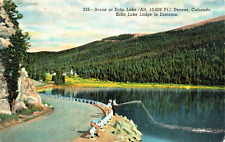 Scene At Echo Lake (Alt. 10,606) With Echo Lake Lodge In Distance Linen Postcard picture