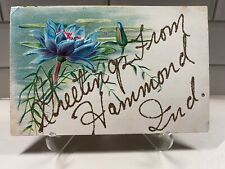 c1910s Greetings From Hammond Indiana Vintage Lake County IN Postcard picture