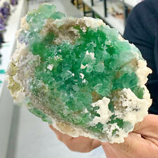 2.98LB Natural Rare crystal samples of transparent green cubic fluorite/China picture