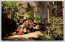 Old-Fashion Steam Train Rumbles to Washington Park Portland Oregon OR Postcard picture