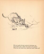 1941 Antique Cat Print Vintage Gladys Emerson Cook Cat Fishing Print 5400j picture