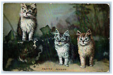 Postcard Three Pretty Pussies Landor's CAT Studies c1910 Photochrome Tuck Cats picture