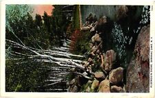 Vintage Postcard- ALGONQUIN SHORE, SARANAC LAKE, N.Y. picture