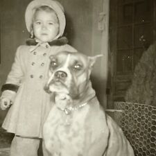 1D Photograph Girl Family Dog Boxer Portrait 1950's  picture