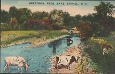 Lake Carmel New York NY Greetings Cows Creek UNP Linen Postcard picture