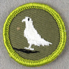 PIGEON RAISING 1961-1968 Type F Rolled Edge Khaki Twill Merit Badge picture