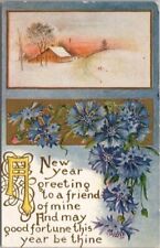 Vintage 1910s HAPPY NEW YEAR Embossed Postcard 