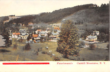 c.1907 Bird's Eye View Fleischmanns NY post card Delaware county picture
