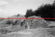 Q002429 Coniston. Limestone. Tarn Hows. 1964 picture