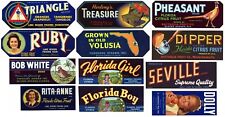 Collection of 12 Different Florida Strip Labels **ORIGINAL CITRUS CRATE LABELS** picture